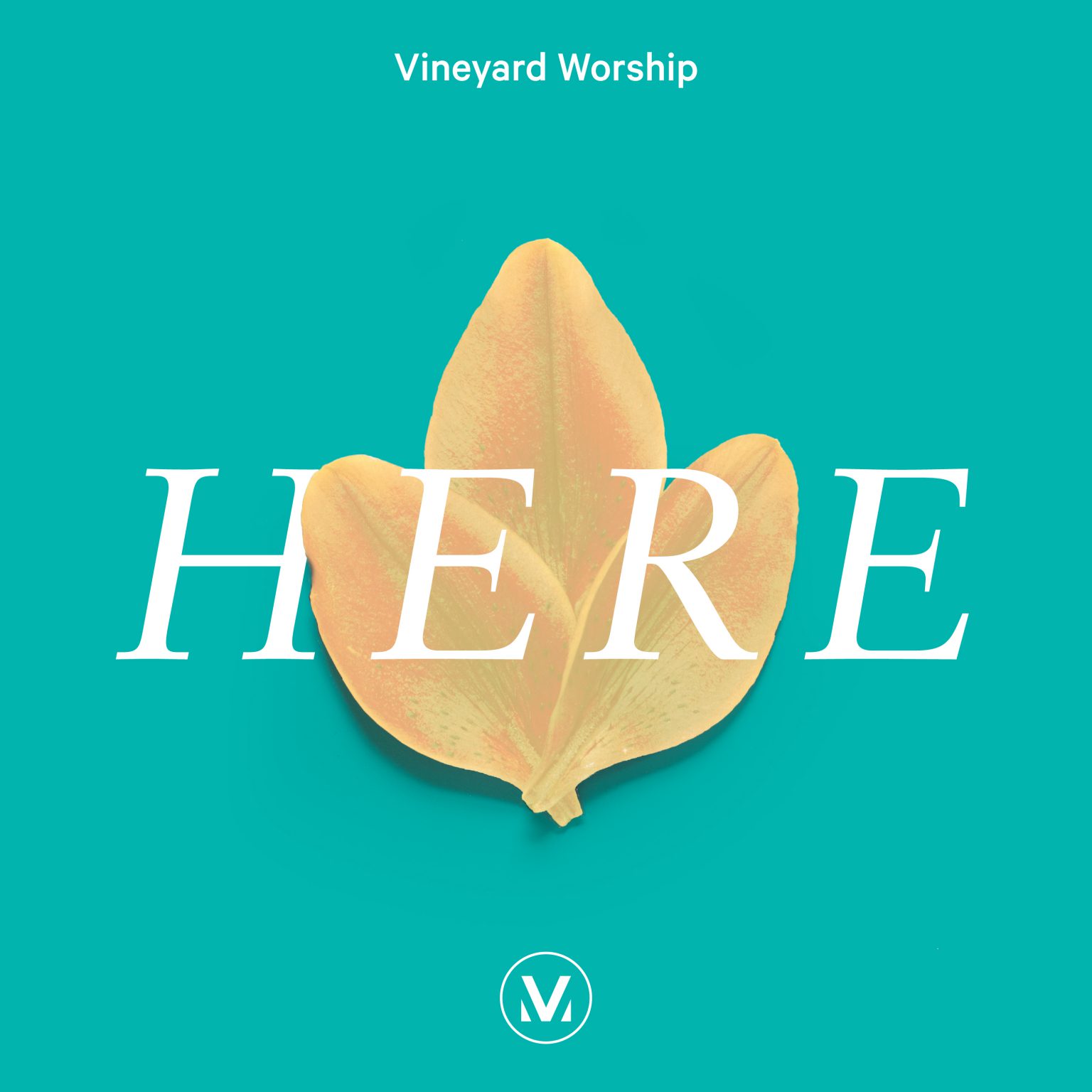 vineyard-worship-album-here-on-worshipteam-worshipteam